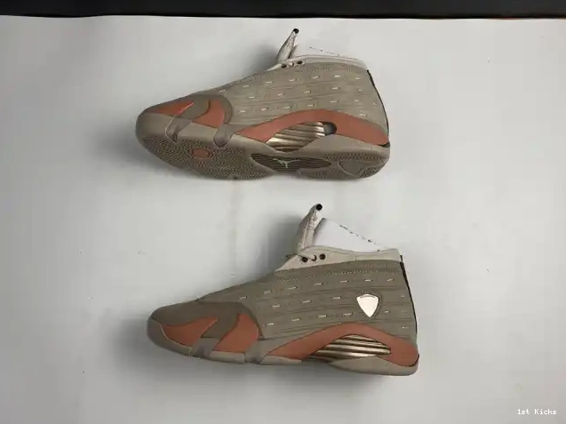 14 Low Jordan Blush Retro DC9857-200 Clot Terra AIR 0520